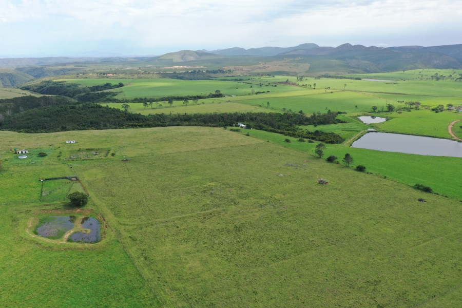 3 Bedroom Property for Sale in Thornhill Eastern Cape